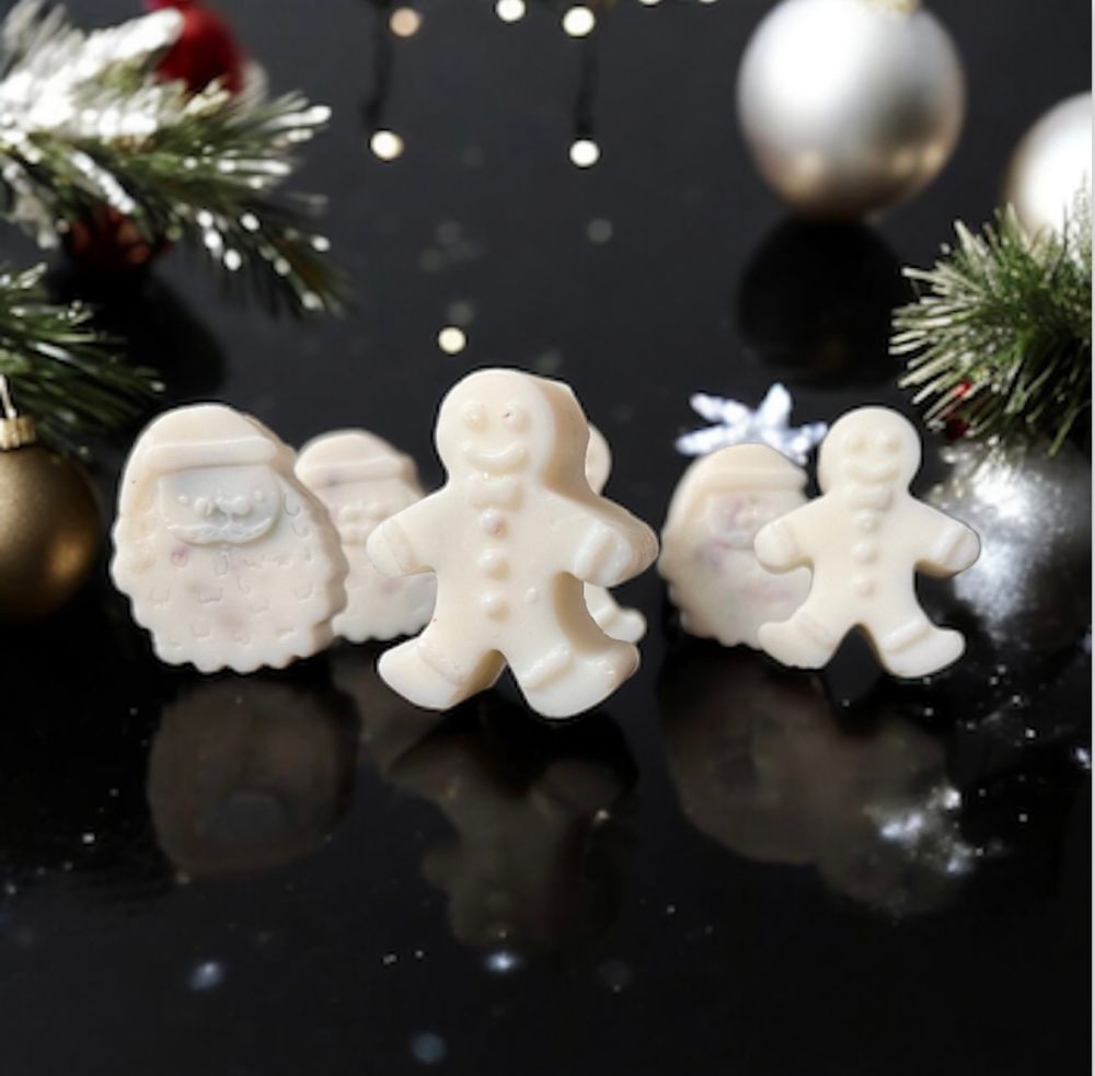 Christmas Wax Melts - 6 Per Box